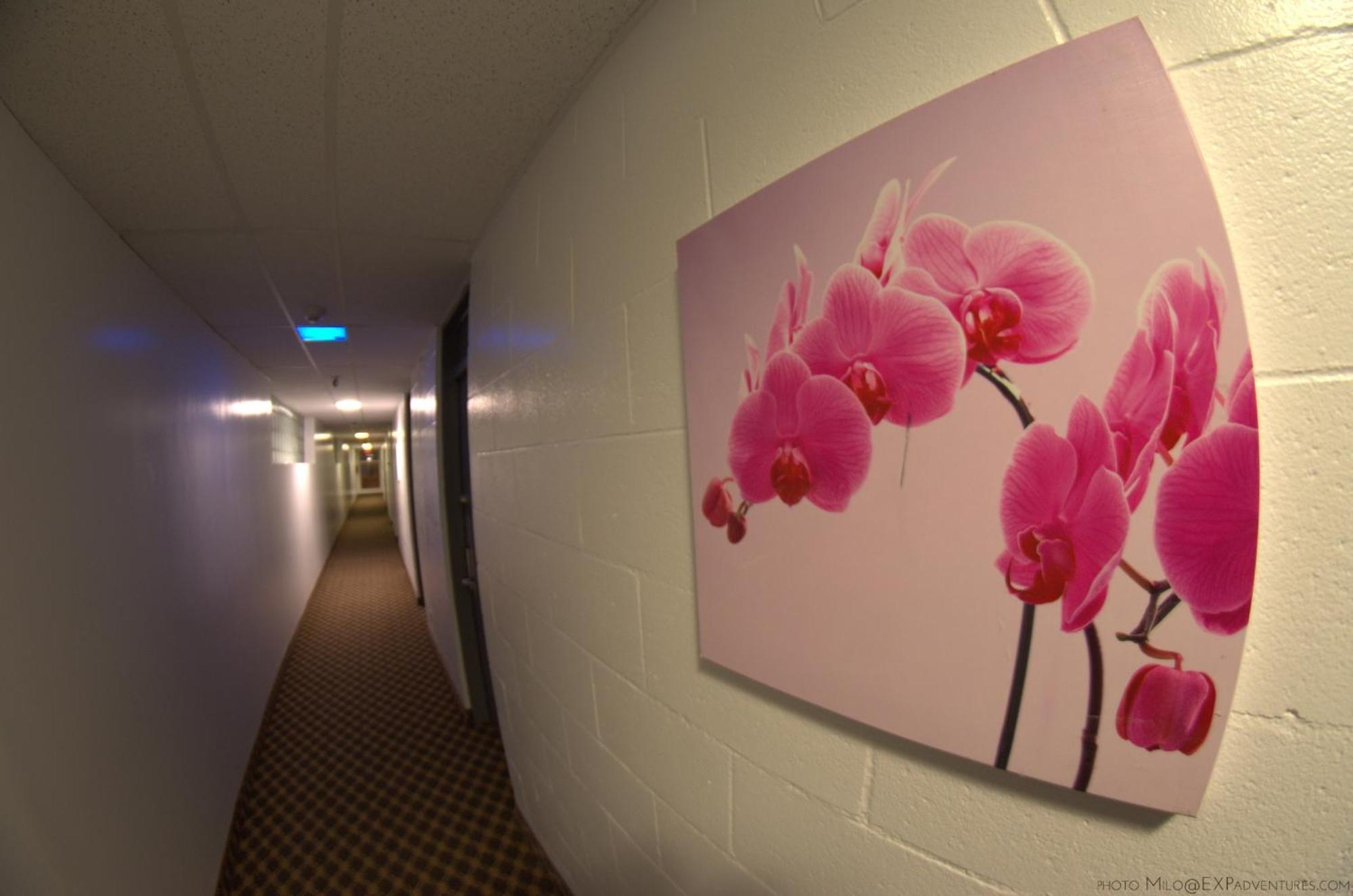 Hotel Royal Plaza 3*